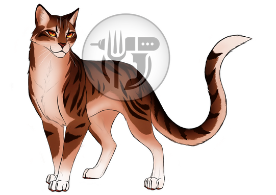 Tabby WC OC Tabby WC OC