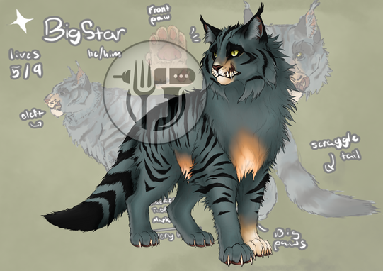 Comm. Bigstar with Ref.