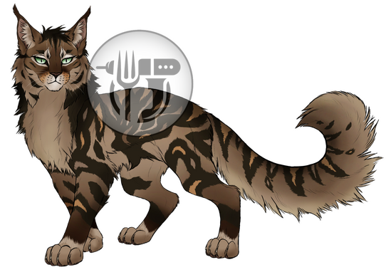 Bigbear Comm Practice Bigbear Comm Practice