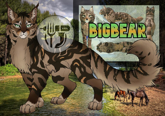 BigBear Ref Pic BigBear Ref Pic