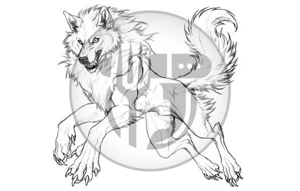 Wolf Practice - Black and White Sketch Wolf Practice - Black and White Sketch