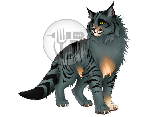 Bigstar Comm. Bigstar Comm.