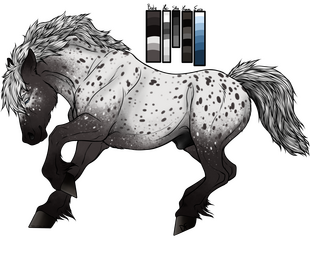 Official Commission - For Orange