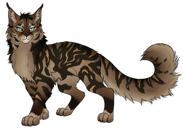 NOT MY OC - Belongs to : Zolt NOT MY OC - Belongs to : Zolt